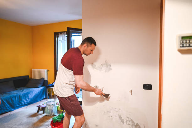 Best Water Damage Restoration  in Plattsburgh, NY