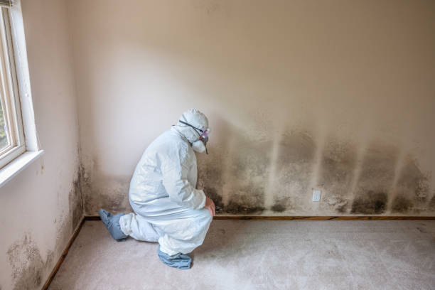 Water Damage Restoration in Plattsburgh, NY
